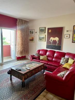 Stella suite